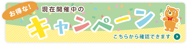 お得な現在開催中のキャンペーン こちらから確認できます